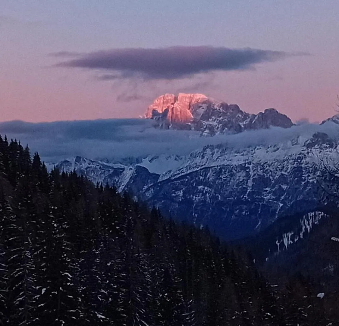 Tana Delle Marmotte Daire Falcade İtalya